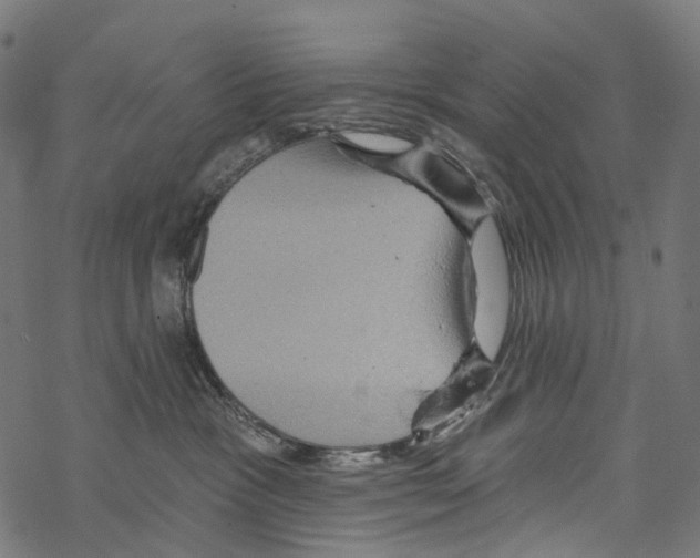 X0000067470333200605051653