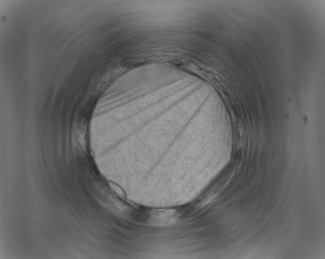 X0000067470334200605051653