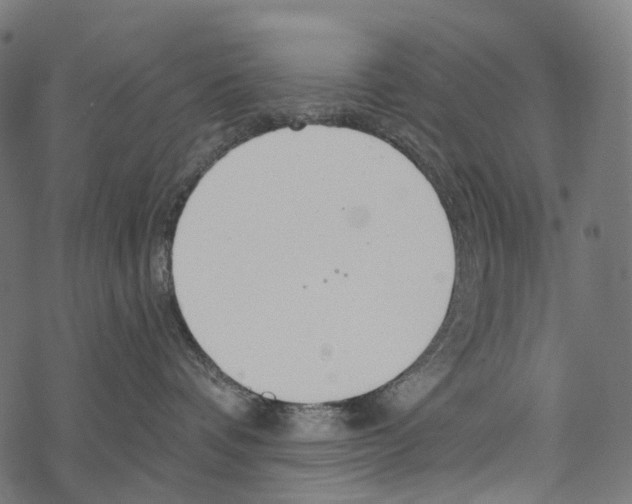 X0000067470336200605051653