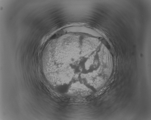 X0000067470337200605051652