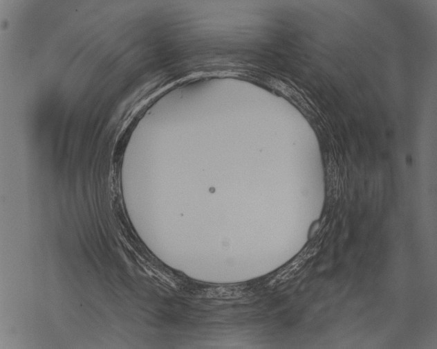 X0000067470338200605051652