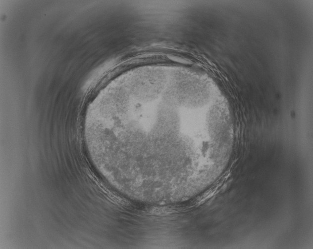 X0000067470341200605051653