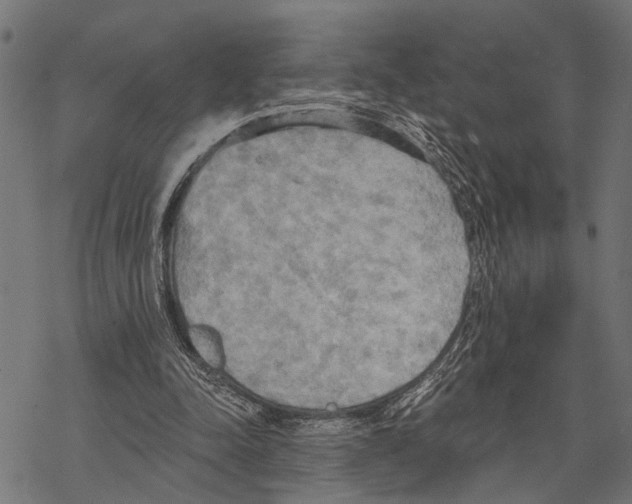 X0000067470342200605051653