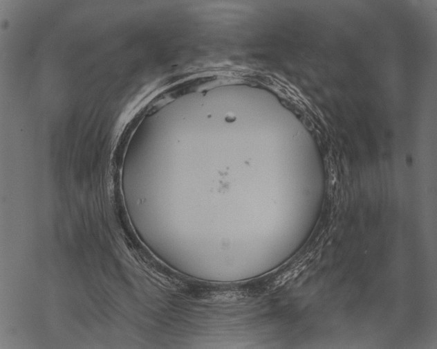 X0000067470344200605051653