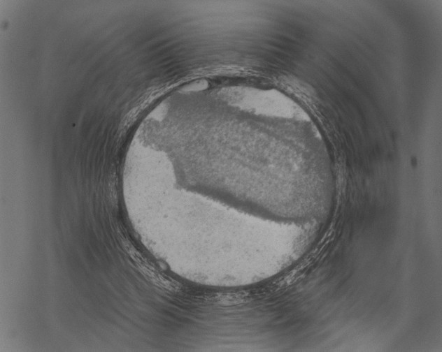 X0000067470345200605051653