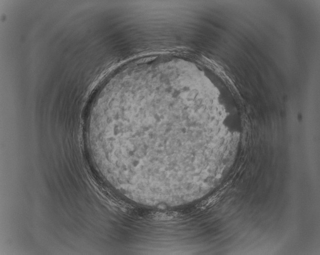 X0000067470346200605051653