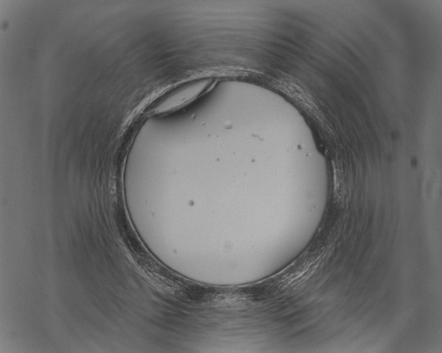 X0000067470348200605051653