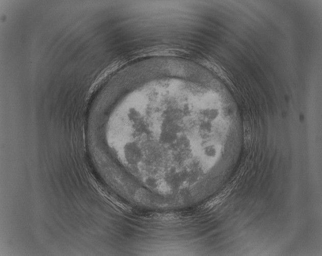 X0000067470349200605051653