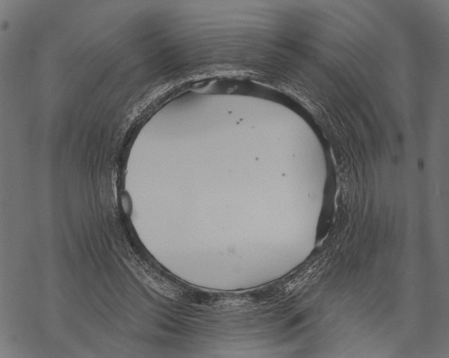 X0000067470350200605051653