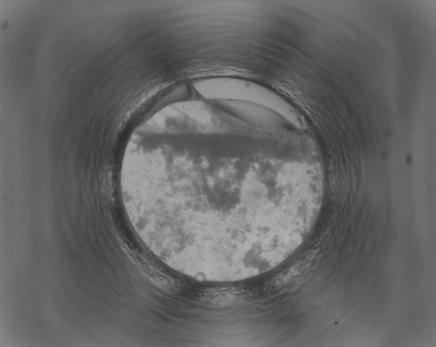 X0000067470351200605051653