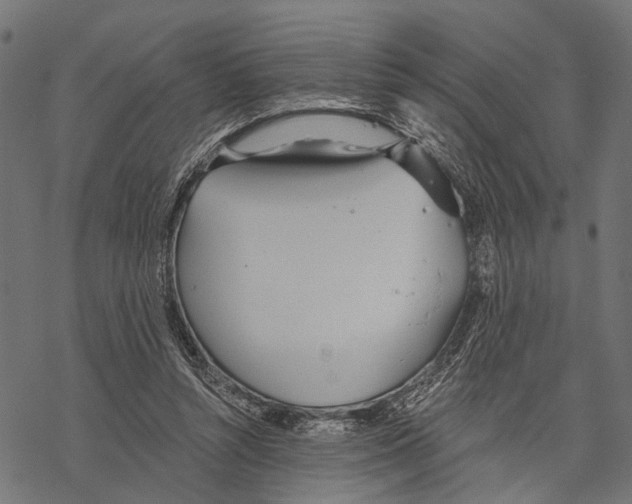 X0000067470352200605051653