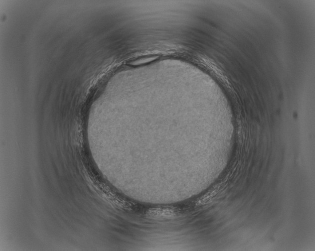 X0000067470354200605051653