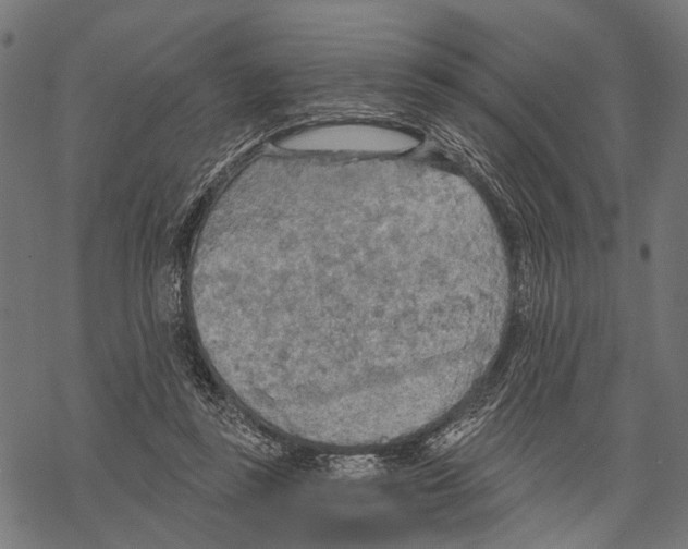 X0000067470355200605051653