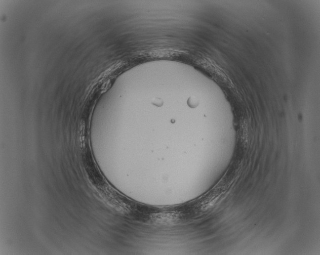 X0000067470356200605051653