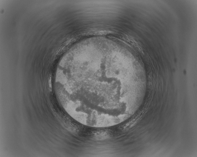 X0000067470358200605051653