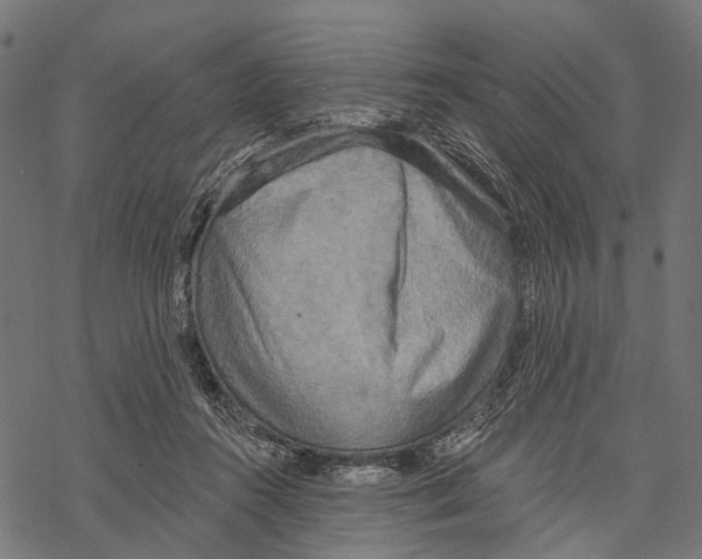 X0000067470360200605051653