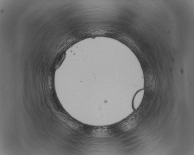 X0000067470362200605051653