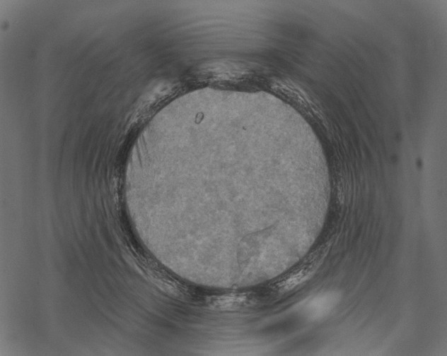 X0000067470366200605051653