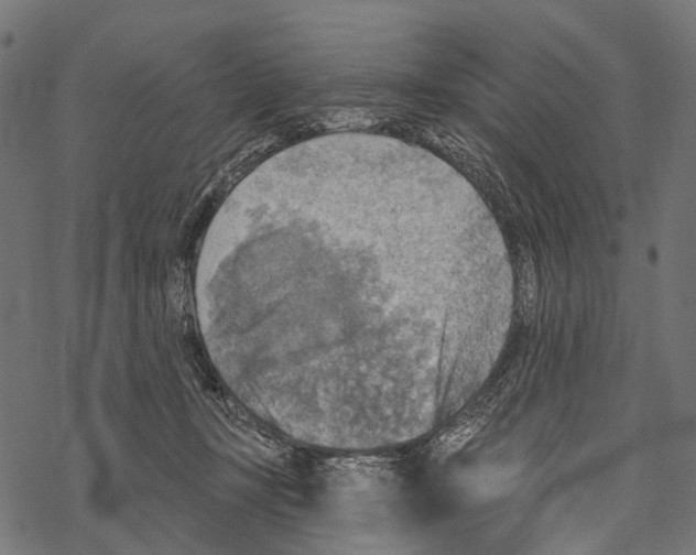 X0000067470367200605051653