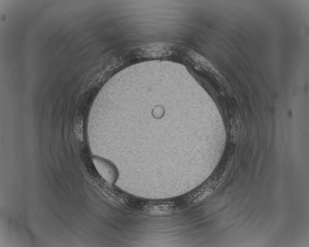 X0000067470368200605051653