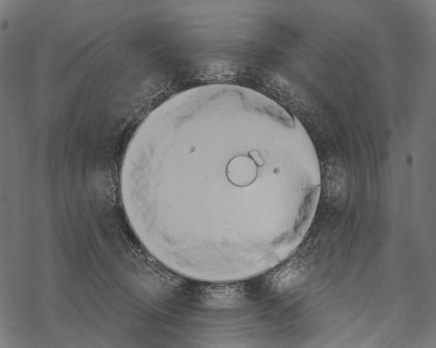 X0000067470370200605051653