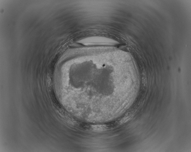 X0000067470371200605051653