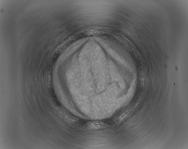 X0000067470372200605051653