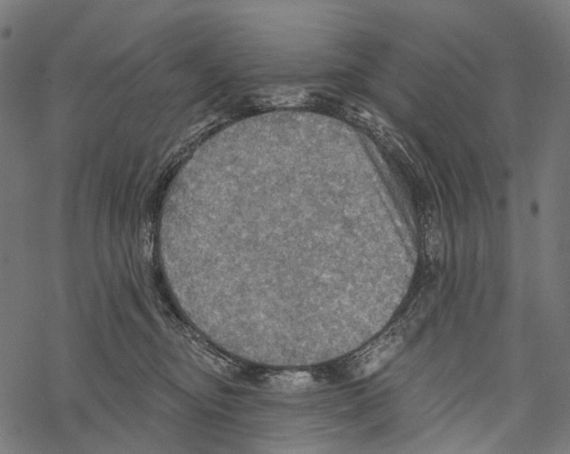 X0000067470374200605051653