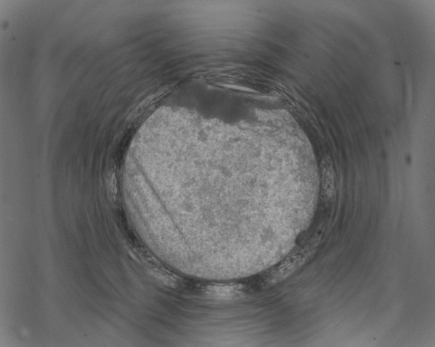 X0000067470375200605051653