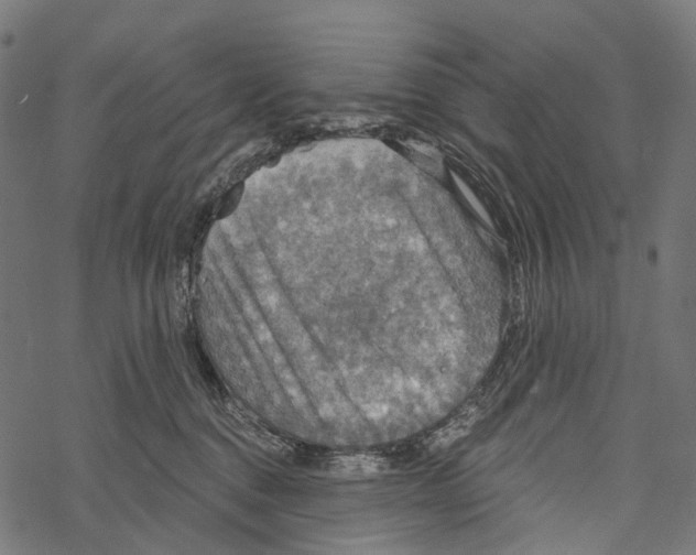 X0000067470376200605051653