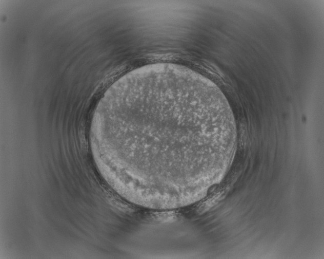 X0000067470377200605051653