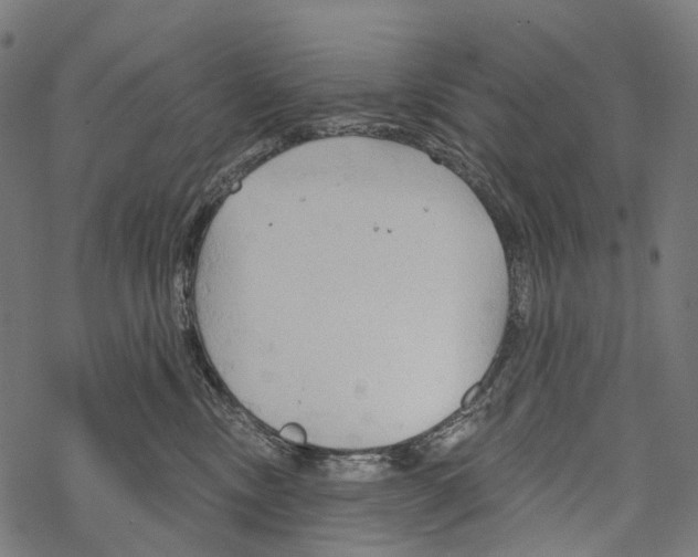 X0000067470378200605051653