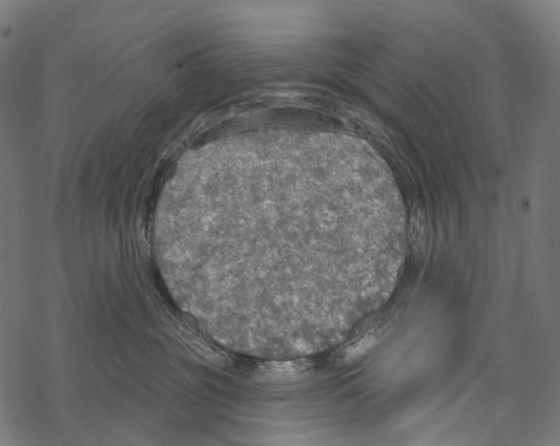 X0000067470381200605051653