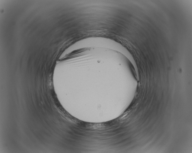 X0000067470383200605051653