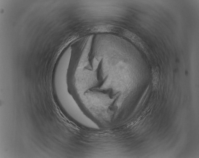 X0000067470386200605051652