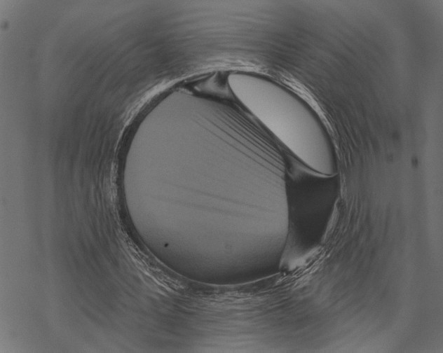 X0000067470387200605051652