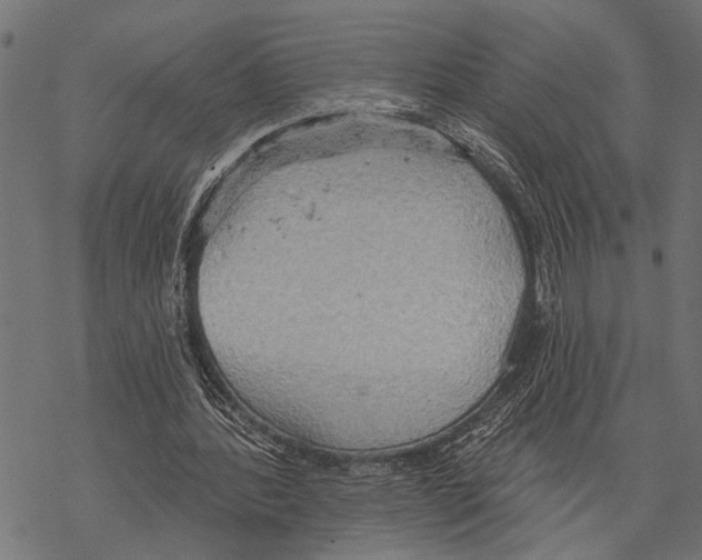 X0000067470388200605051652