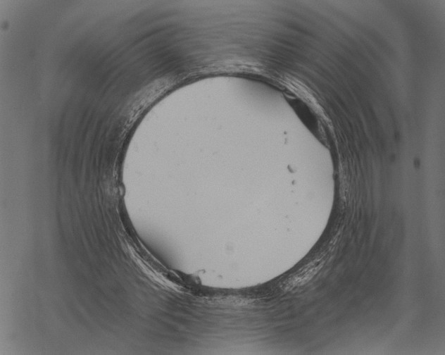 X0000067470389200605051652