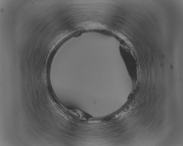 X0000067470391200605051652