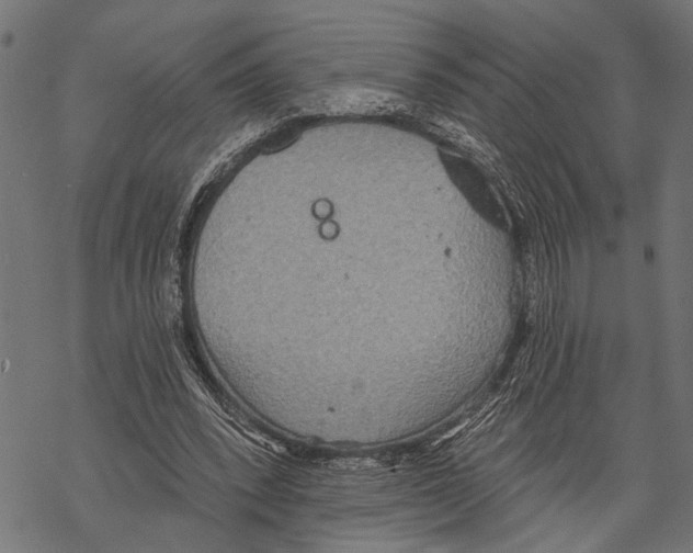 X0000067470392200605051652