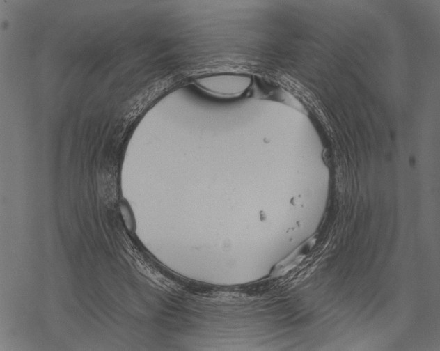 X0000067470393200605051652