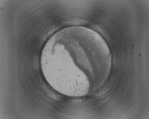 X0000067470394200605051652