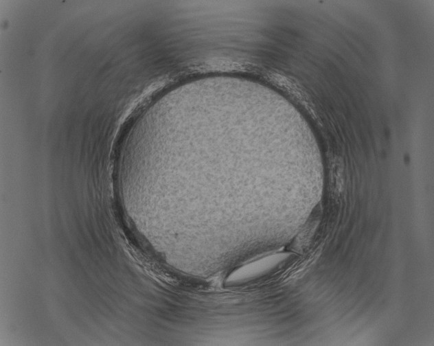 X0000067470395200605051652