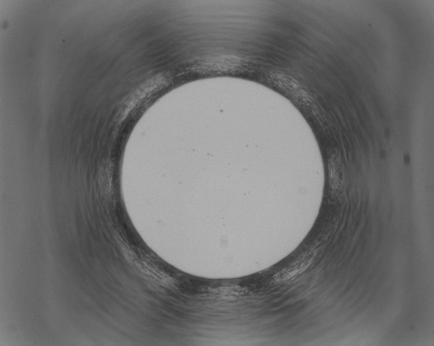 X0000067470396200605051652