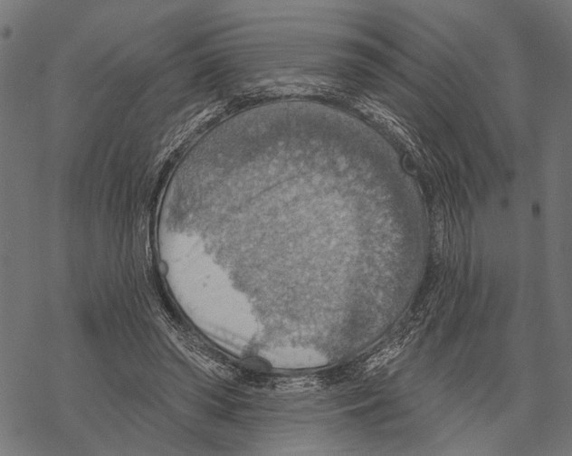 X0000067470398200605051652