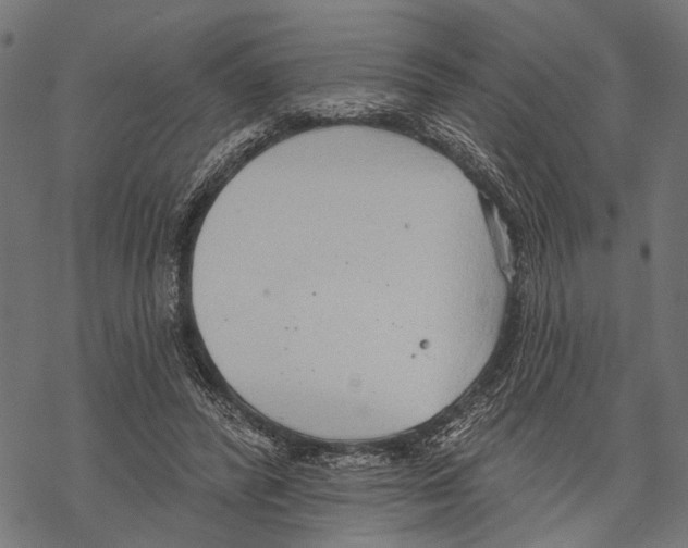 X0000067470400200605051652