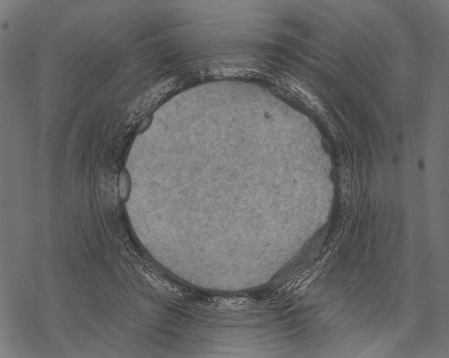 X0000067470401200605051652