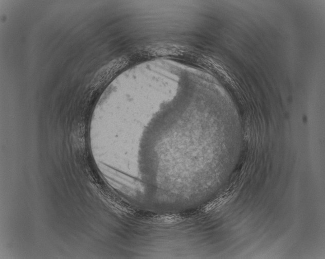 X0000067470402200605051652