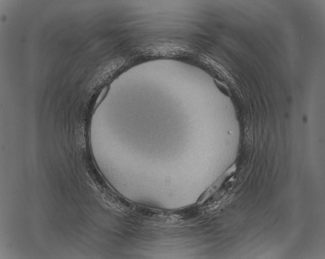 X0000067470403200605051652