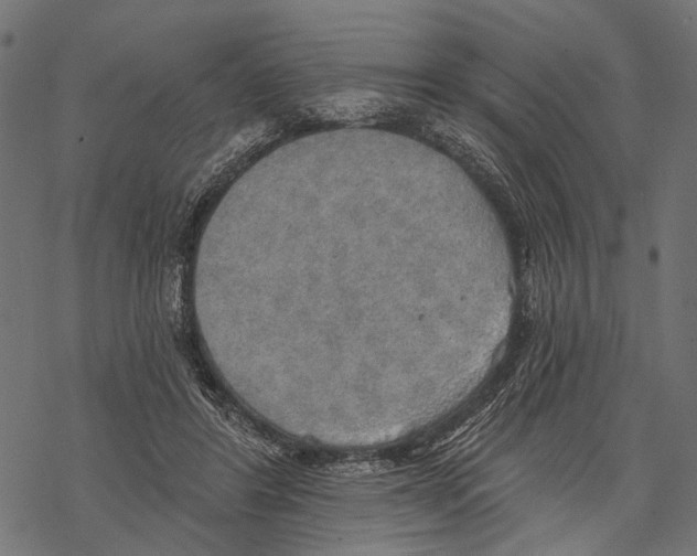 X0000067470404200605051652